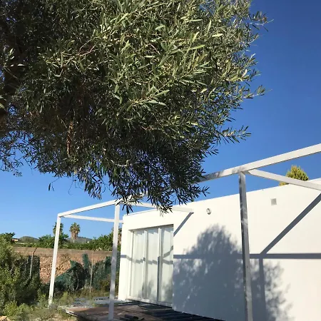 Buenavista Appartement Picassent Buitenkant foto